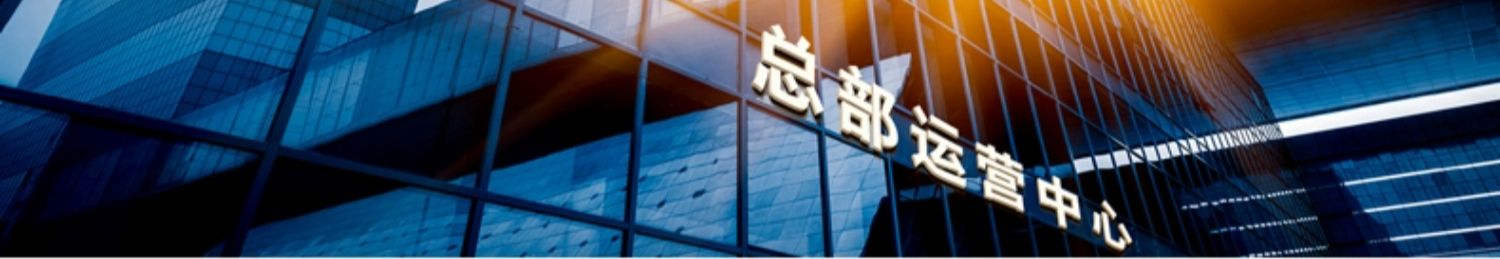 维盾钢结构钻石顶阳光房别墅玻璃房楼顶简易露台阳光房定制花园(图33)