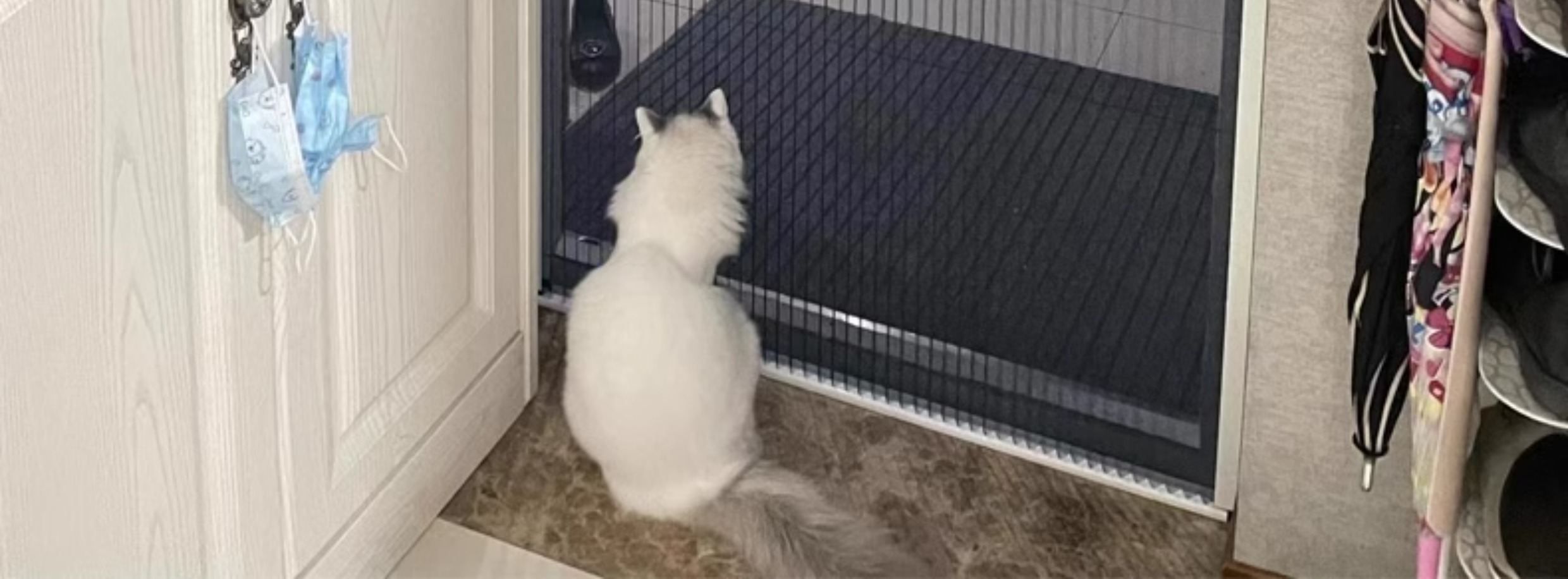 折叠纱门推拉式隐形防蚊门入户门帘铝合金无轨伸缩沙门纱窗免打孔(图19)