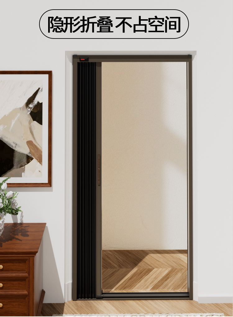 入户门折叠金刚网纱门阳台定制平移无轨金隐门防蚊门家用防猫防盗(图5)