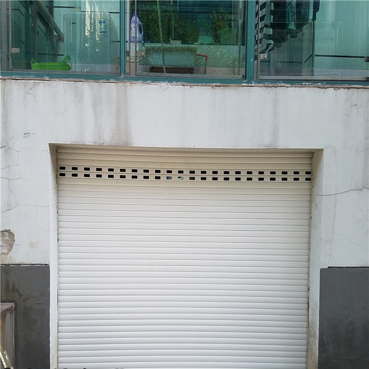 上海电动卷帘门遥控车库门自动铝合金门家用卷闸门商铺防盗门定做(图10)