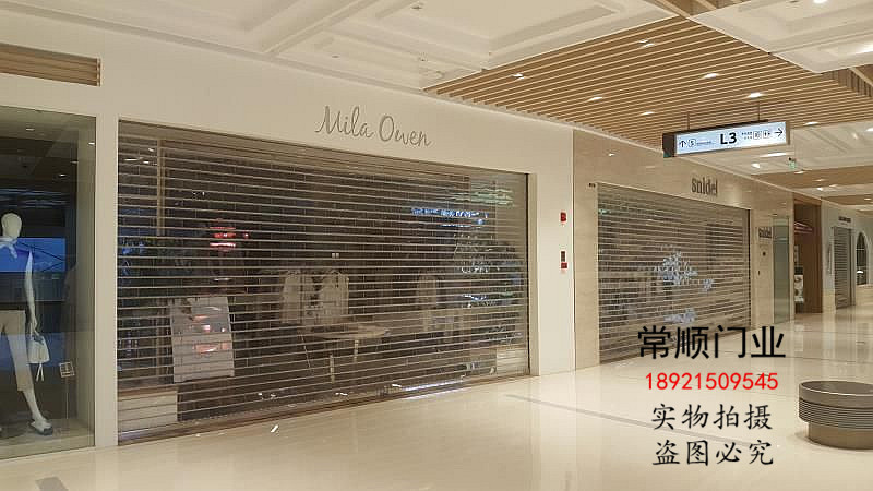 定做铝合金卷帘门卷闸门遥控车库门家用商用别墅电动门水晶门无锡(图3)