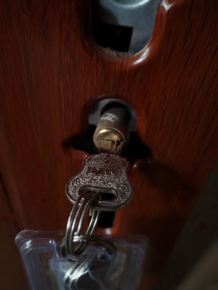 厂家直销锌合金门房间卧室门现代简约烤漆门防盗门室内平开门大门(图10)