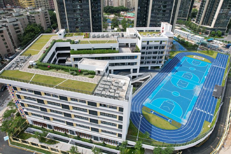 深圳教育集团有哪些_深圳的教育集团_深圳教育集团有哪些学校