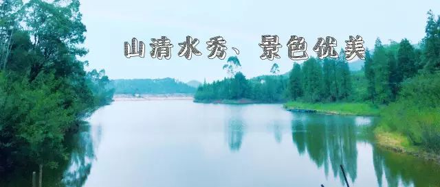 吃货快来_吃货来外铁蛋合集_吃货来采菊