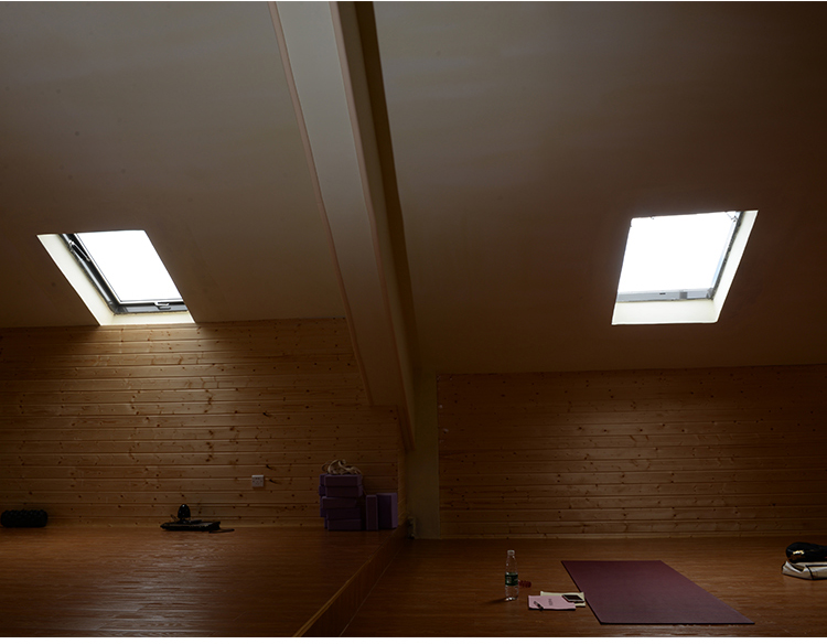 铝合金斜屋顶天窗斜屋面老虎窗阳光房电动窗地下室采光井(图24)