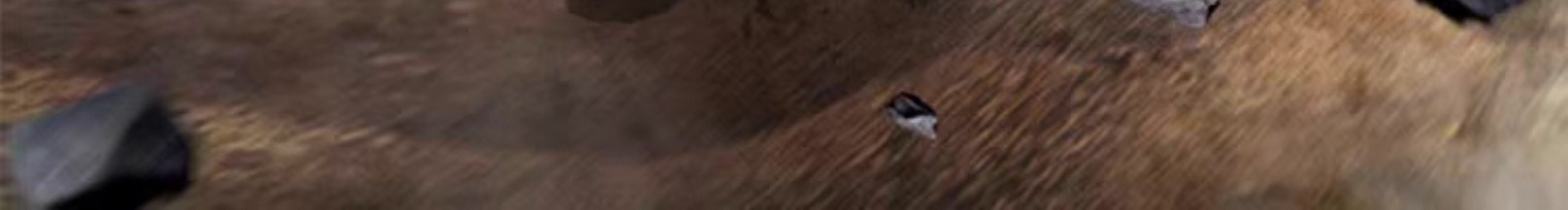 2025新款军事大型主战99式坦克积木益智拼装儿童玩具男孩生日礼物(图12)