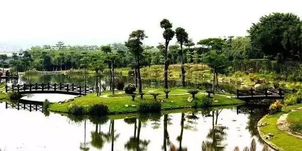 上海横沙岛旅游攻略_上海横沙岛旅游攻略自驾_上海横沙岛游玩攻略