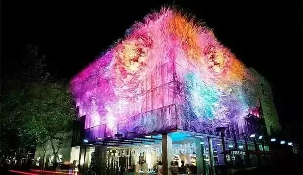 上海横沙岛旅游攻略_上海横沙岛旅游攻略自驾_上海横沙岛游玩攻略