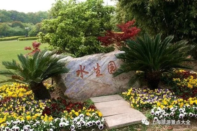 上海横沙岛游玩攻略_上海横沙岛旅游攻略_上海横沙岛旅游攻略自驾