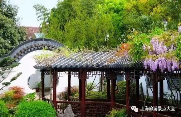 上海横沙岛旅游攻略自驾_上海横沙岛游玩攻略_上海横沙岛旅游攻略