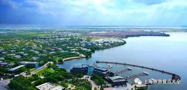 上海横沙岛旅游攻略_上海横沙岛旅游攻略自驾_上海横沙岛游玩攻略