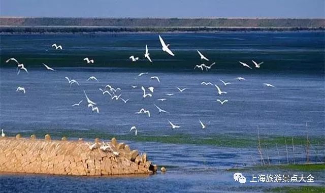 上海横沙岛游玩攻略_上海横沙岛旅游攻略自驾_上海横沙岛旅游攻略