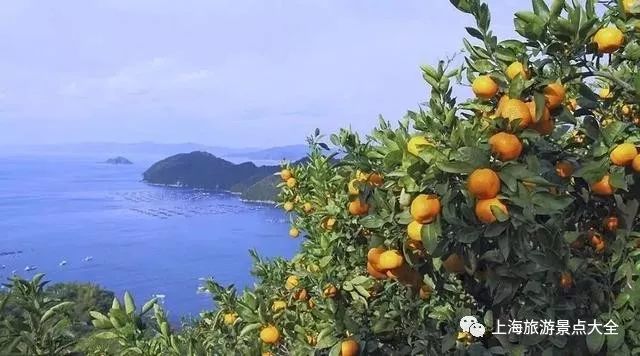 上海横沙岛旅游攻略自驾_上海横沙岛旅游攻略_上海横沙岛游玩攻略