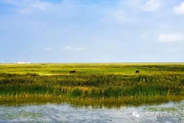 上海横沙岛旅游攻略_上海横沙岛游玩攻略_上海横沙岛旅游攻略自驾