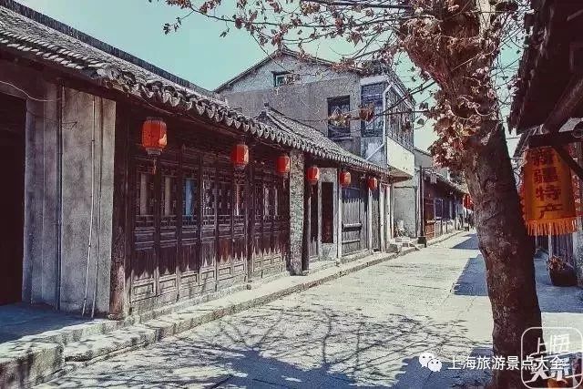 上海横沙岛旅游攻略_上海横沙岛游玩攻略_上海横沙岛旅游攻略自驾