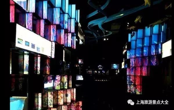 上海横沙岛旅游攻略_上海横沙岛游玩攻略_上海横沙岛旅游攻略自驾