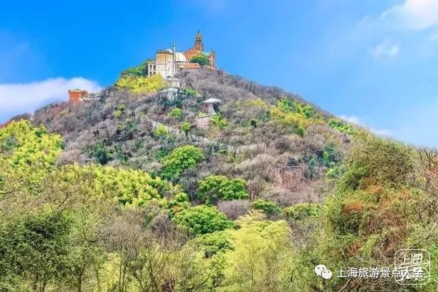 上海横沙岛游玩攻略_上海横沙岛旅游攻略_上海横沙岛旅游攻略自驾