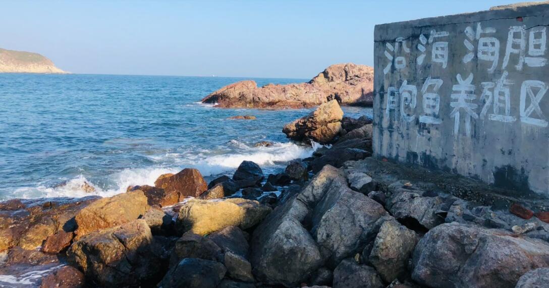 深圳哪里有烧烤的地方_深圳烧烤哪里好吃_烧烤深圳地方有什么