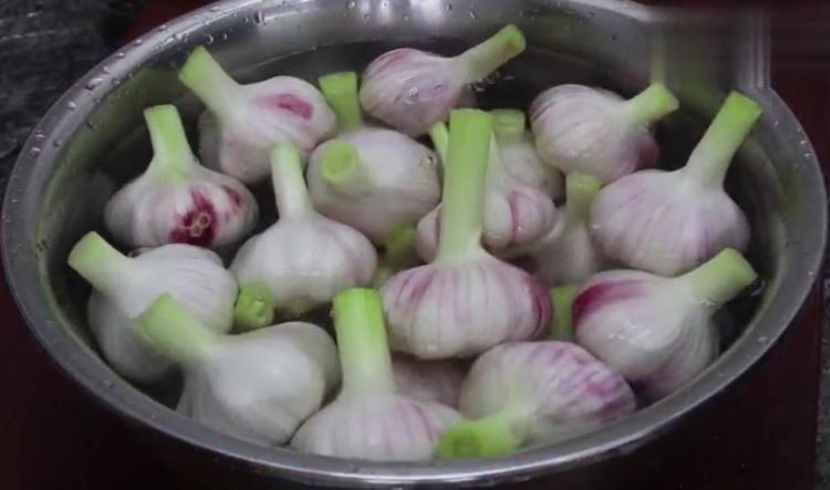 腌制酸甜方法糖蒜怎么做_酸甜糖蒜的腌制方法_酸甜糖蒜怎么腌