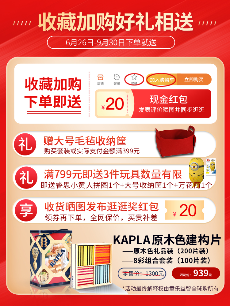 法国kapla积木拼搭启蒙儿童益智玩具建构片空间大师思维训练教具(图3)