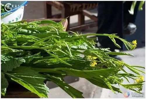 旅游景点好吃不好吃小吃盘点16:西双版纳(图13) 图片