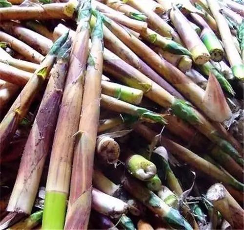 旅游景点好吃不好吃小吃盘点16:西双版纳(图34) 图片