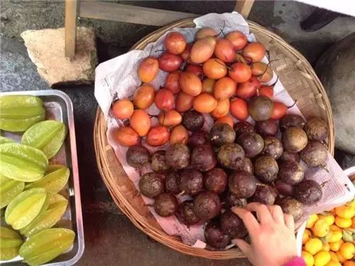 旅游景点好吃不好吃小吃盘点16:西双版纳(图53) 图片