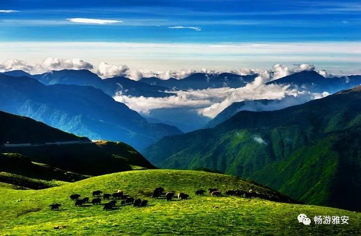 碧峰峡旅游线路_碧峰峡咋样_碧峰峡旅游