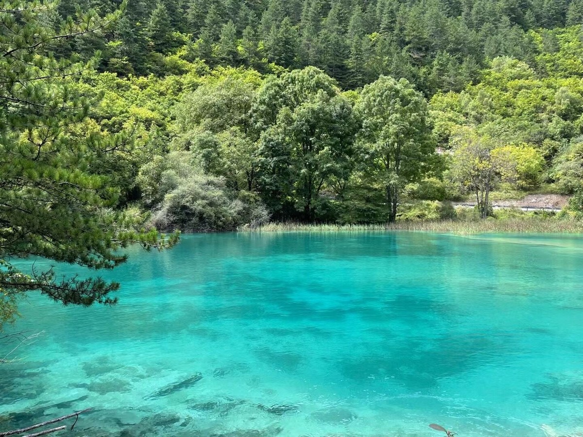 朱德故里景区在哪?_朱德故里景区在哪?_朱德故里景区在哪?