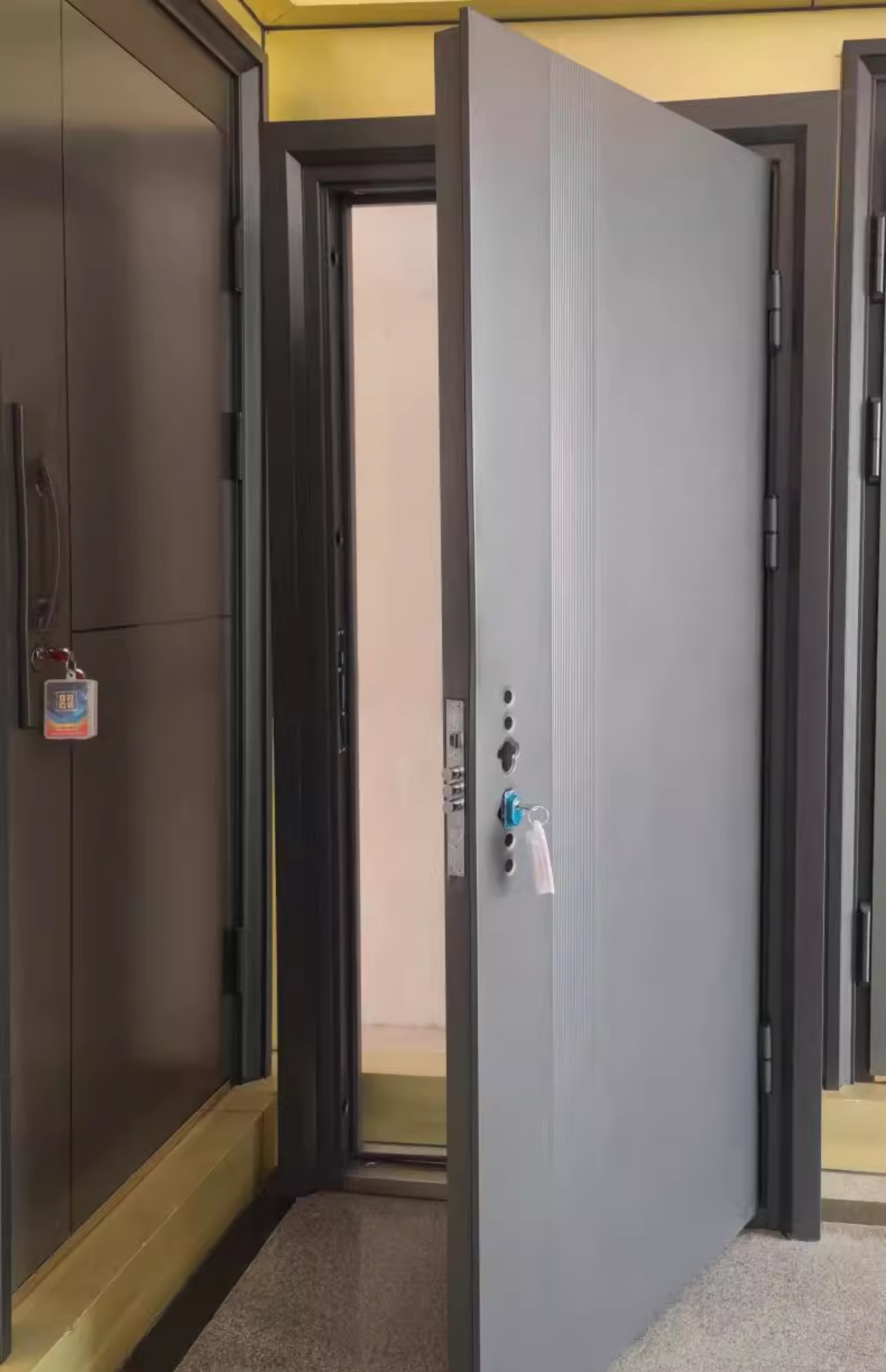 入户门电子锁工程门钢制门出租房智能防盗门指纹密码锁进户门单开(图11)