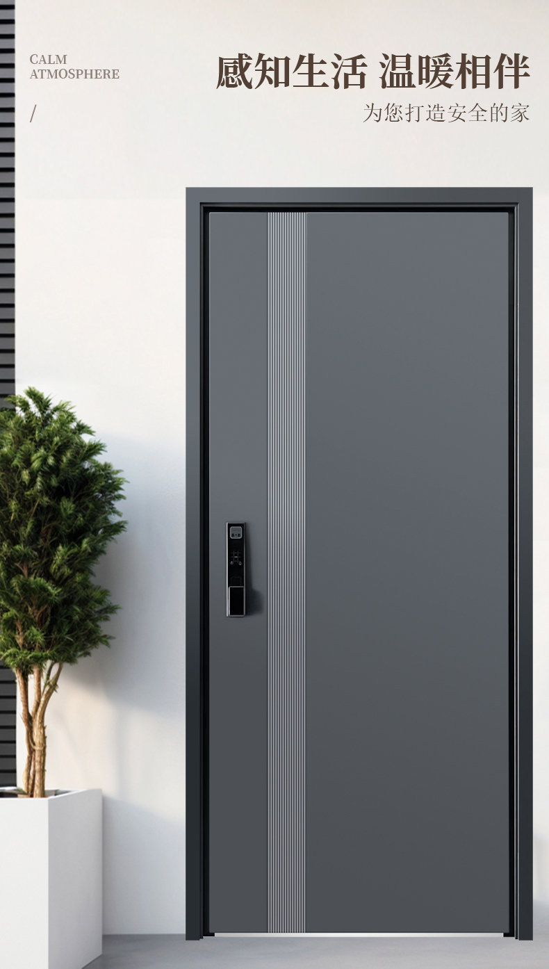 甲级防盗门进户门家用轻奢简约新国标4级入户门单双对开门子母门(图7)