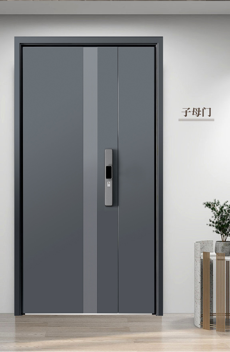 甲级防盗门进户门家用轻奢简约新国标4级入户门单双对开门子母门(图20)