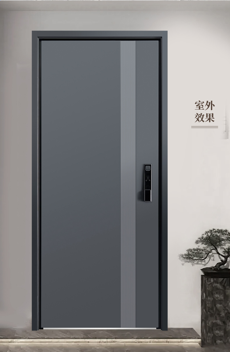 甲级防盗门进户门家用轻奢简约新国标4级入户门单双对开门子母门(图19)
