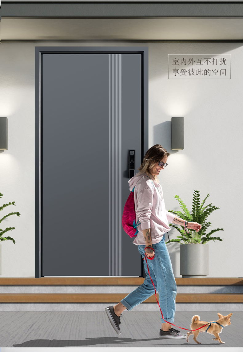 甲级防盗门进户门家用轻奢简约新国标4级入户门单双对开门子母门(图17)