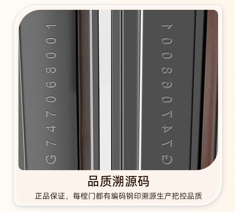 WL王力安全防盗门入户门进户门子母门别墅大门25年新款防盗门A050(图38)