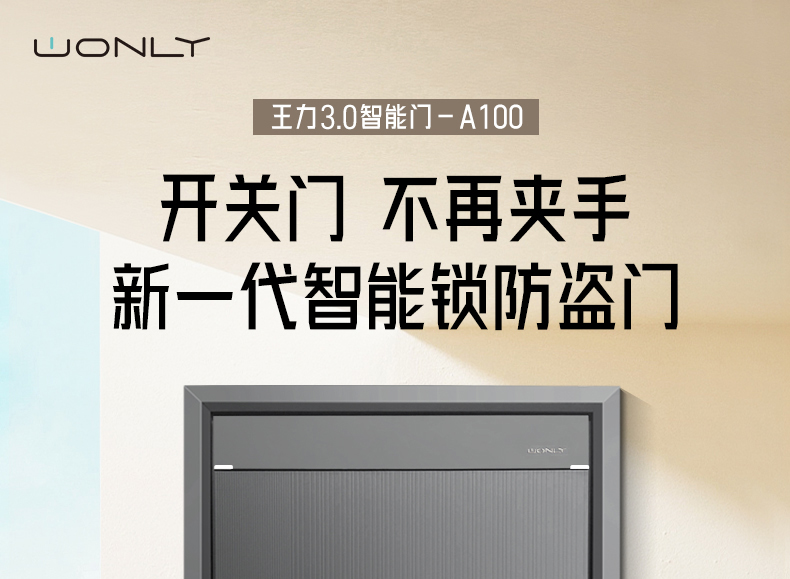WL王力防盗门入户门进户门高端定制别墅大门24年新款防盗门A100(图3)