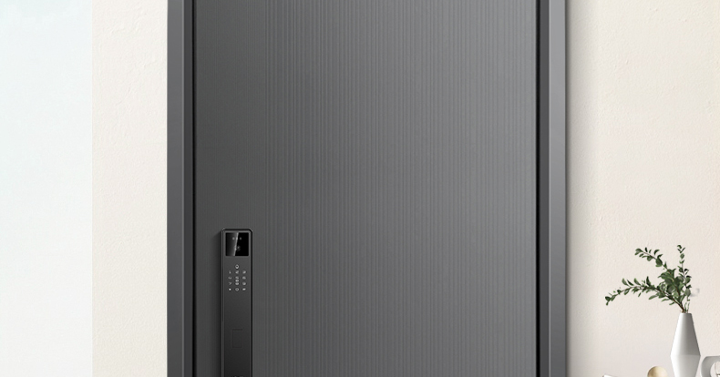 WL王力防盗门入户门进户门高端定制别墅大门24年新款防盗门A100(图4)