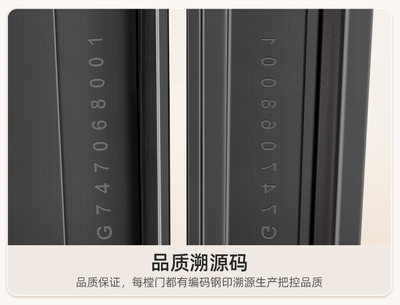 WL王力防盗门入户门进户门高端定制别墅大门24年新款防盗门A100(图42)