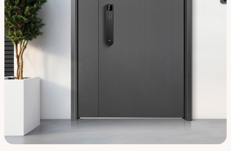 WL王力防盗门入户门进户门高端定制别墅大门24年新款防盗门A100(图39)