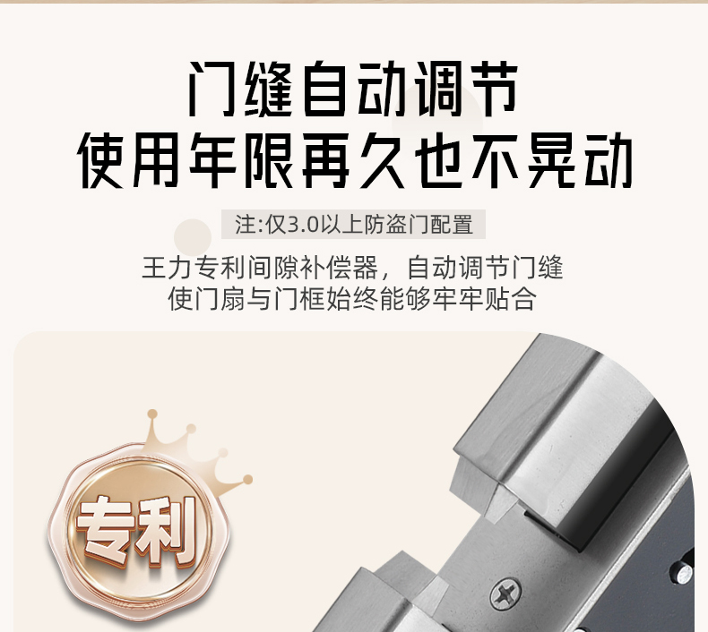 WL王力防盗门入户门进户门高端定制别墅大门24年新款防盗门A100(图25)