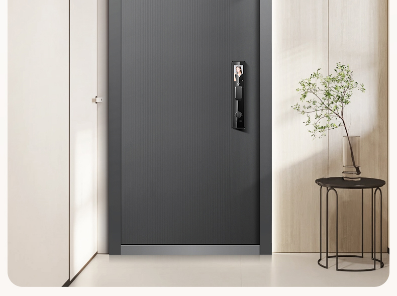 WL王力防盗门入户门进户门高端定制别墅大门24年新款防盗门A100(图37)
