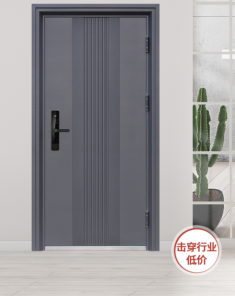 甲级防盗门进户门家用入户门大门子母室内外出租房工程楼道单开门(图3)