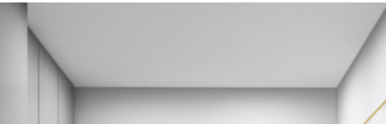 FX富新 两全齐美 黑白双色甲级防盗门定制入户门包安装子母门家用(图6)