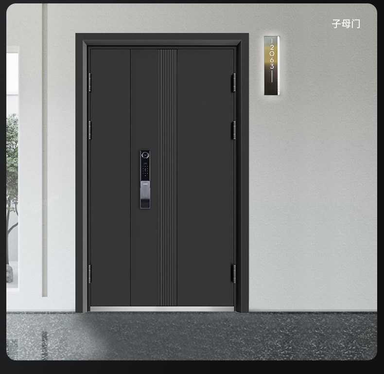 【2024款】甲级防盗门进户门轻奢锌合金全自动锁入户门平开隔音门(图18)