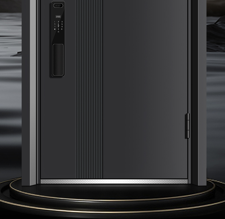 成都甲级防盗门家用进户门入户门指纹锁轻奢子母门安全门单门大门(图5)