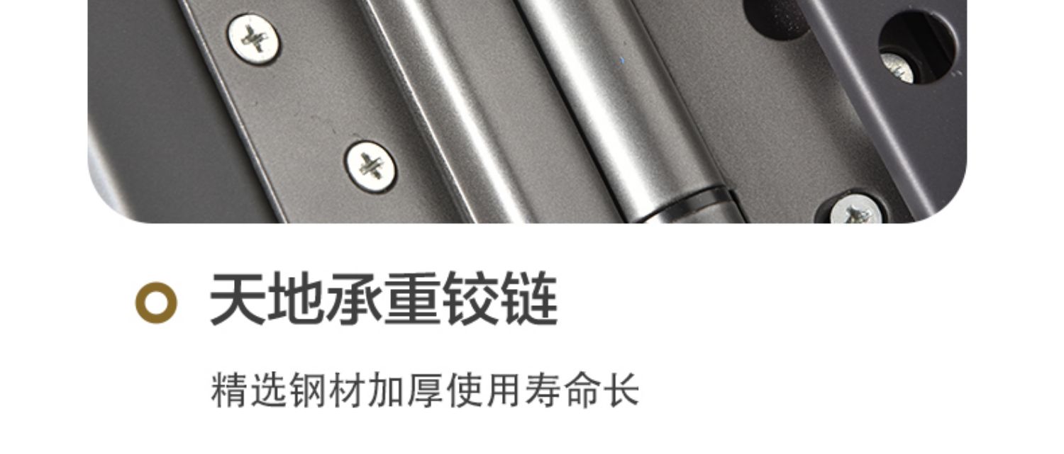 甲级防盗门进户门家用锌合金入户门智能子母门带人脸识别钢质大门(图24)