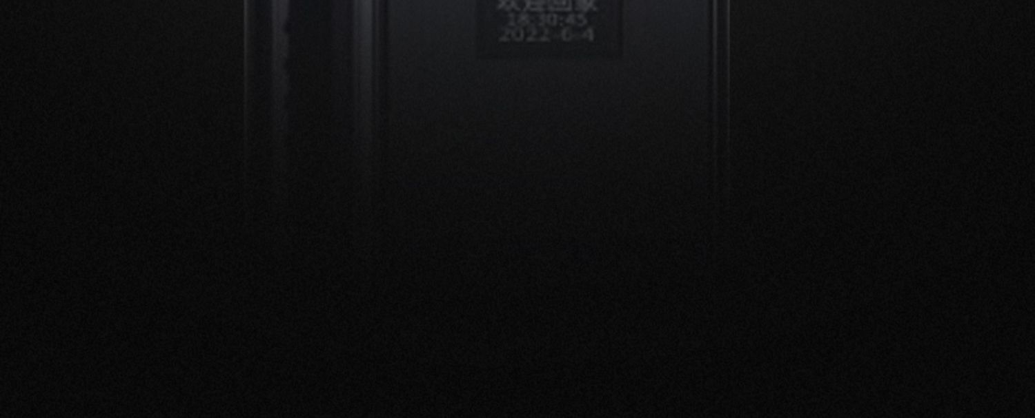 甲级防盗门进户门家用锌合金入户门智能子母门带人脸识别钢质大门(图39)