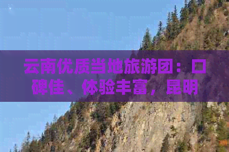 云南优质当地旅游团：口碑佳、体验丰富，昆明国际旅行社值得推荐