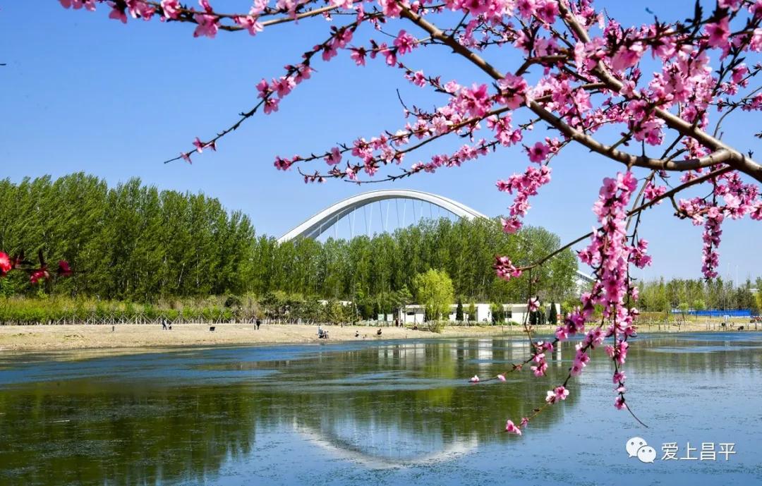 昌平的公园_昌平公园有什么游玩_昌平公园景点