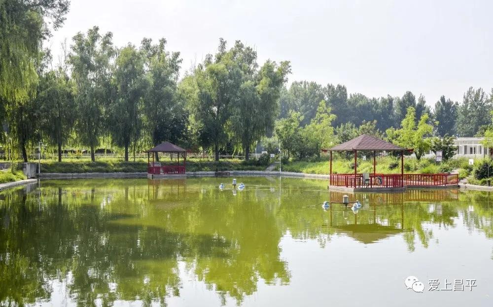 昌平公园有什么游玩_昌平的公园_昌平公园景点